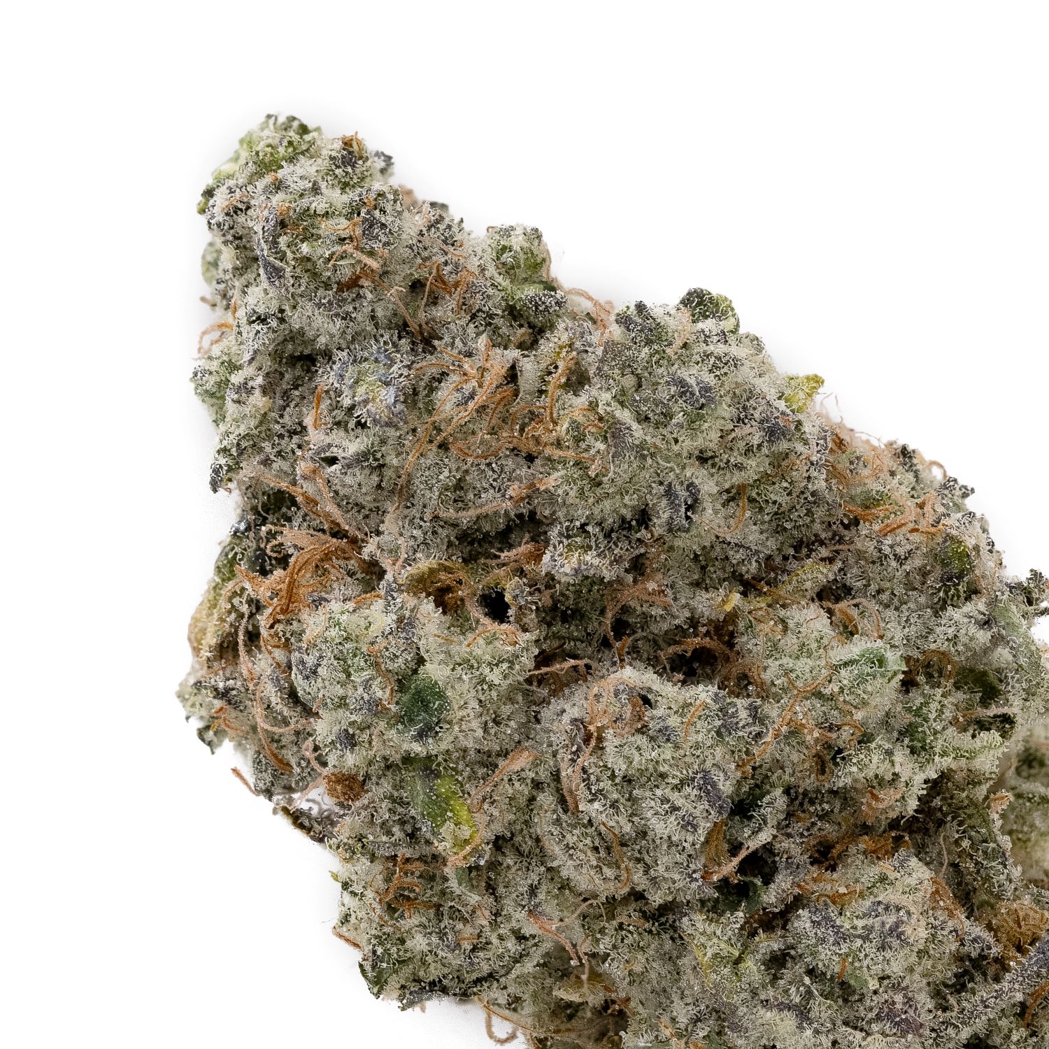 Let’s Explore the Magic of the “Wizard OG Strain”